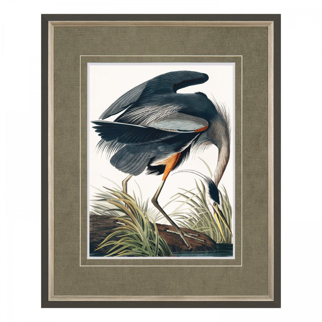 Vintage Blue Heron (Small) By John James Audubon - TheArtistsQuarter