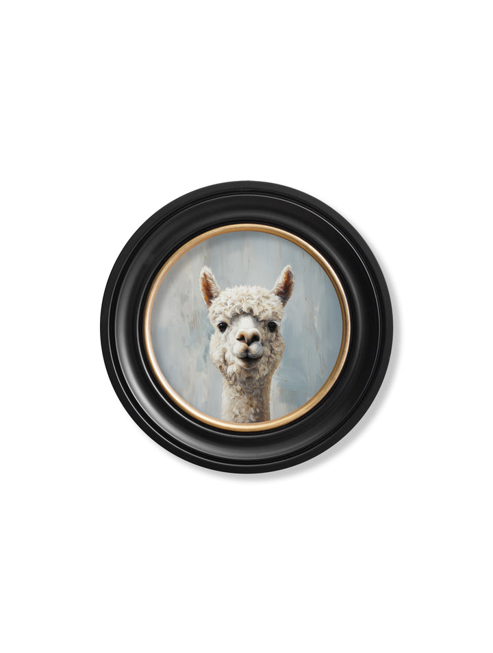 The Goofy Alpaca - Oxford Round Frame