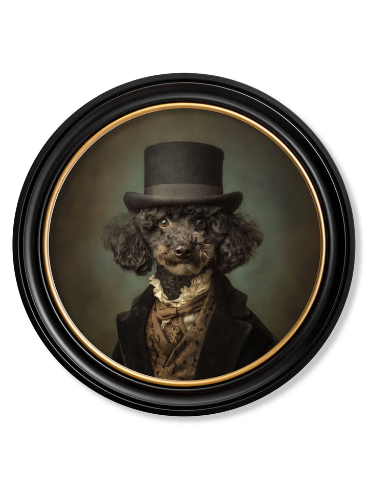 Sir Poodleton - Gentleman Poodle - TheArtistsQuarter