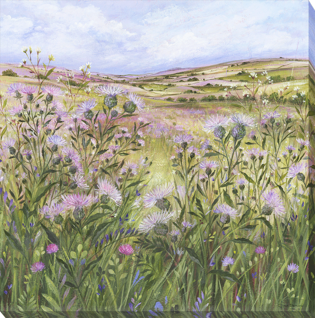 Lilac Thistle Field Canvas By Diane Demirci - TheArtistsQuarter