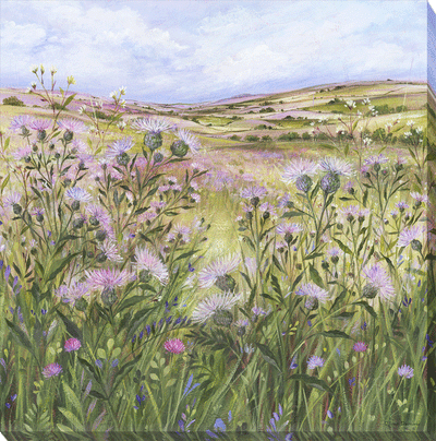 Lilac Thistle Field Canvas By Diane Demirci *NEW* - TheArtistsQuarter