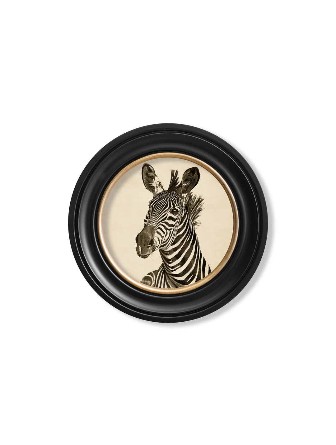 C1890 ZEBRA ILLUSTRATIONS IN ROUND FRAME *Cancelled Order*