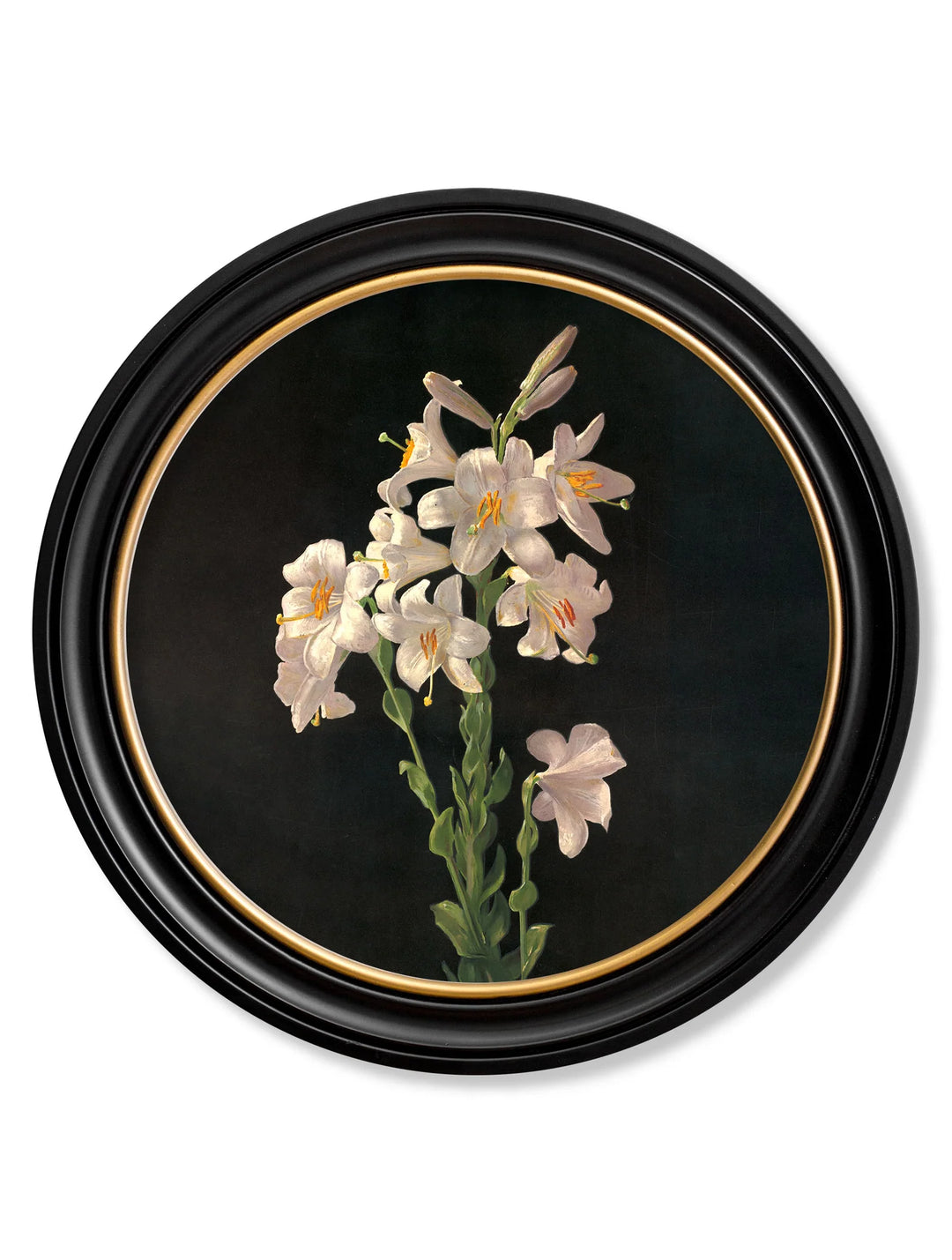 c.1874 George Cochran Lambdin Lillys - Round Frame - TheArtistsQuarter