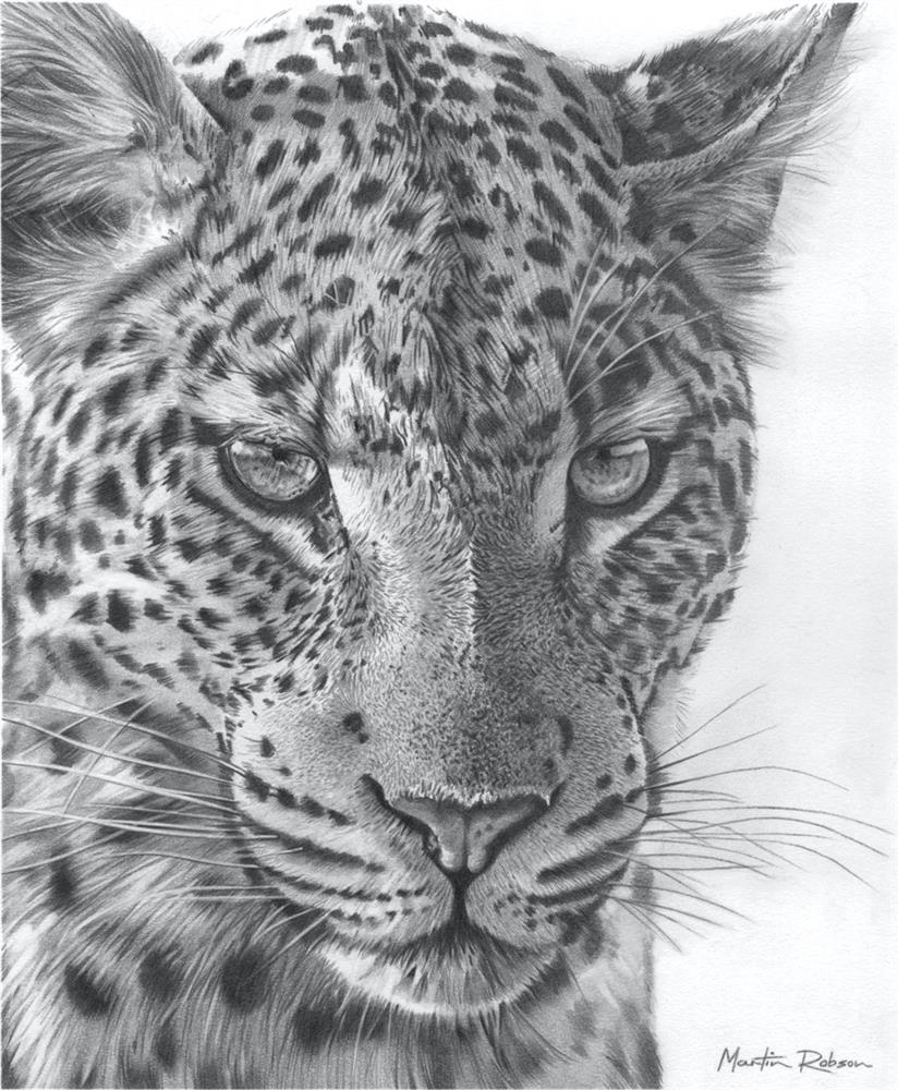 Martin Robson - Emerald Gaze - Study