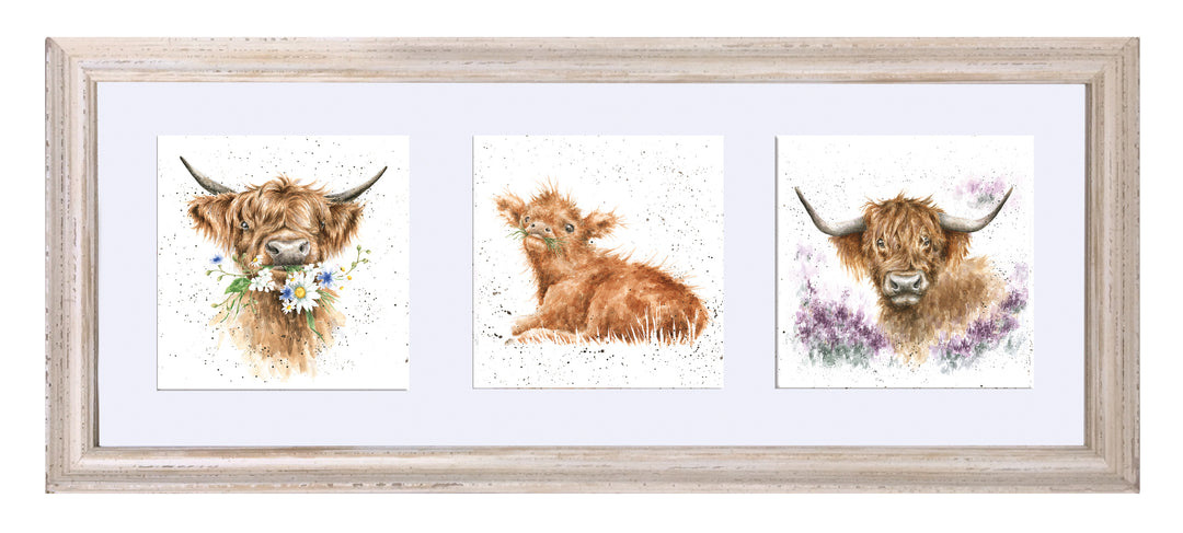 A Trio Of Highland Cows By Wrendale - TheArtistsQuarter