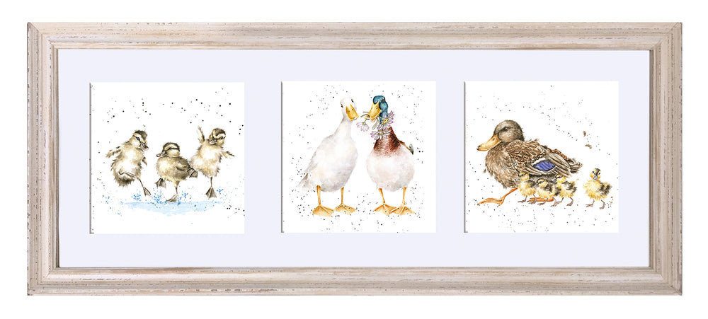 A Trio of Ducks By Wrendale - TheArtistsQuarter