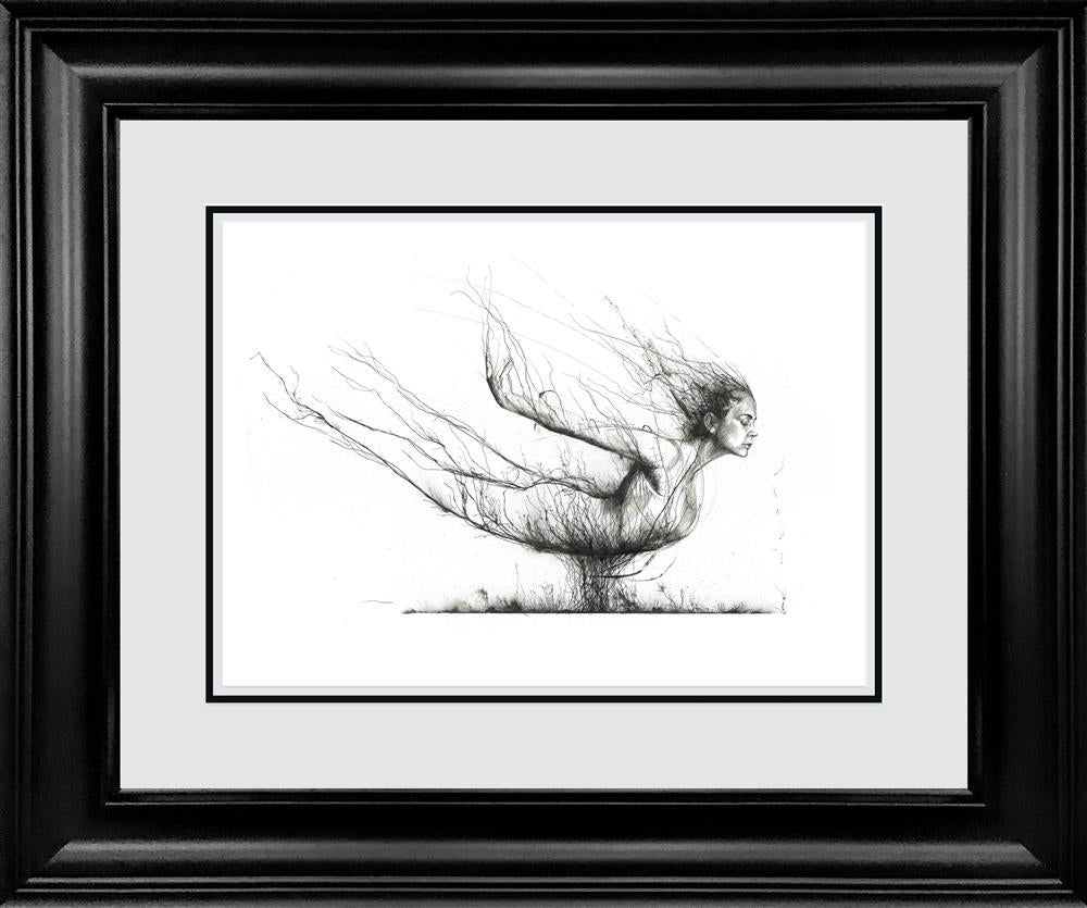 Fly by Scott Tetlow (Original) - TheArtistsQuarter