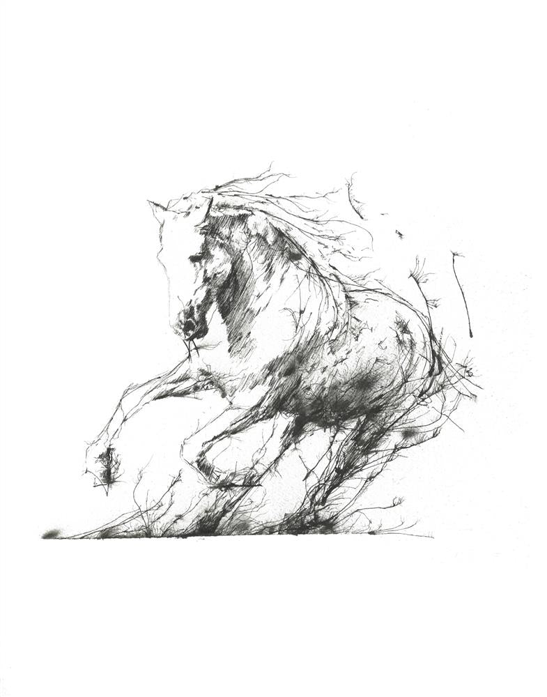 Freedom by Scott Tetlow - TheArtistsQuarter