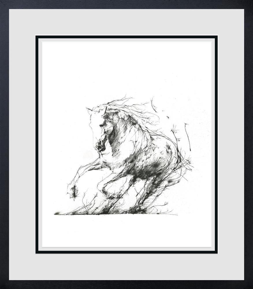 Freedom by Scott Tetlow - TheArtistsQuarter