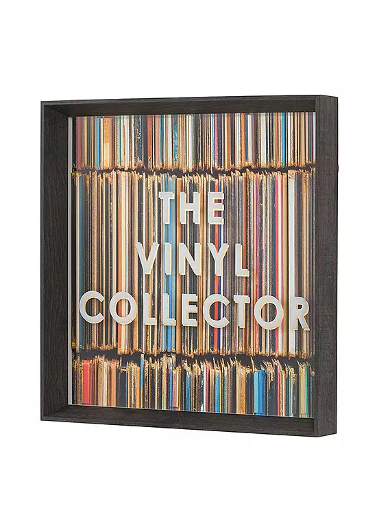 The Vinyl Collector By Faye Reynolds-Lydon