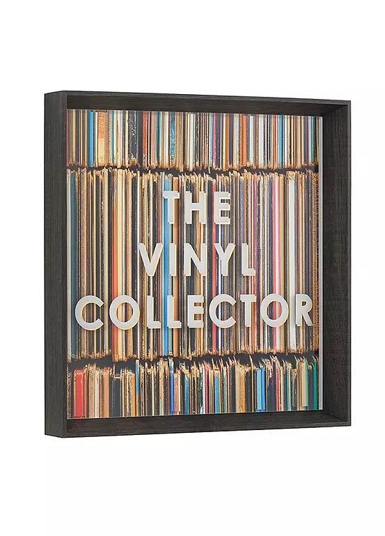 The Vinyl Collector By Faye Reynolds-Lydon