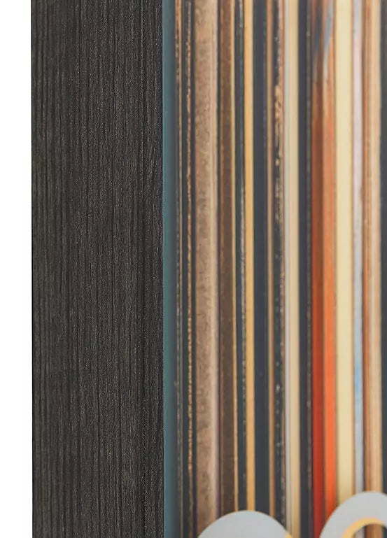 The Vinyl Collector By Faye Reynolds-Lydon