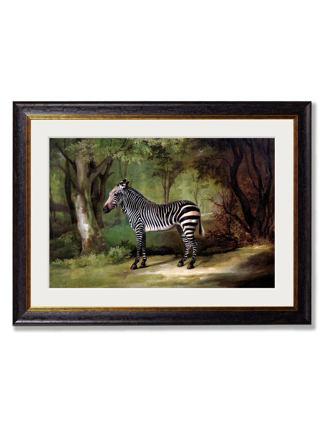 c.1763 George Stubb's Zebra - TheArtistsQuarter