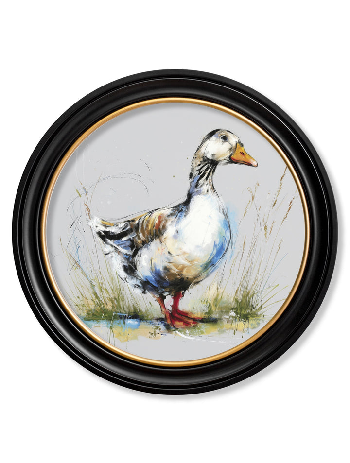 White Goose Cosy Sketch - Oxford Round Frame