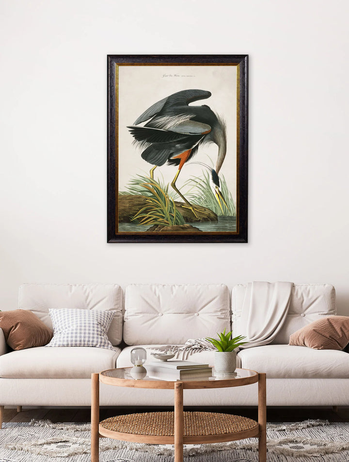 c.1838 Audubon's Great Blue Heron - TheArtistsQuarter