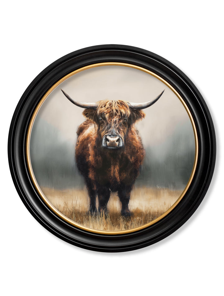 Highland Cow - Oxford Round Frame