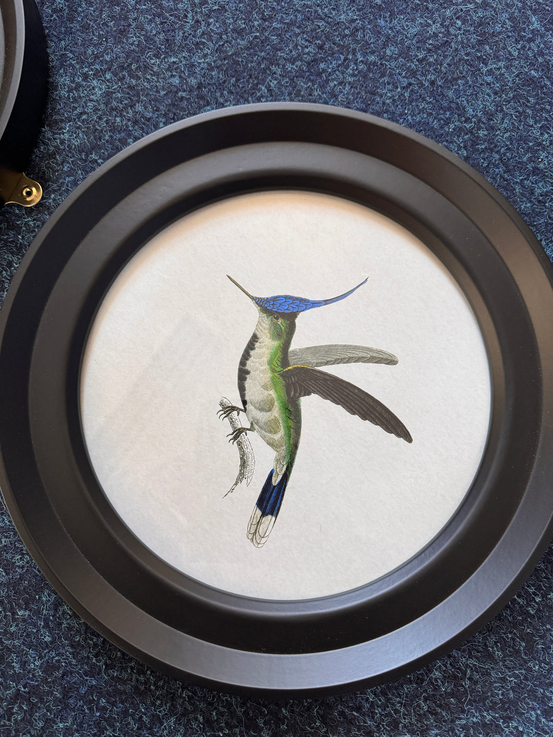 Hummingbirds In Round Frame D (Cancelled Order) - TheArtistsQuarter