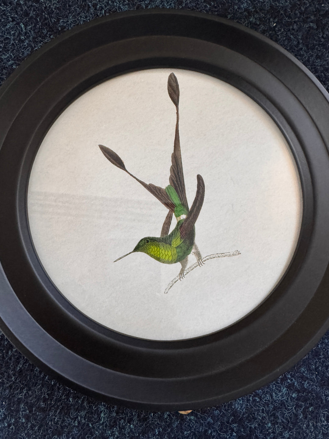 Hummingbirds In Round Frame E (Cancelled Order) - TheArtistsQuarter