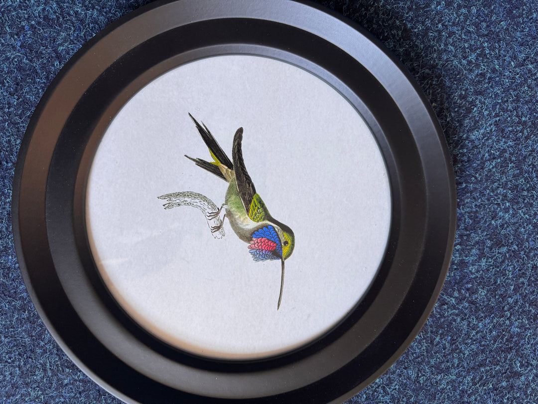 Hummingbirds In Round Frame J (Cancelled Order) - TheArtistsQuarter