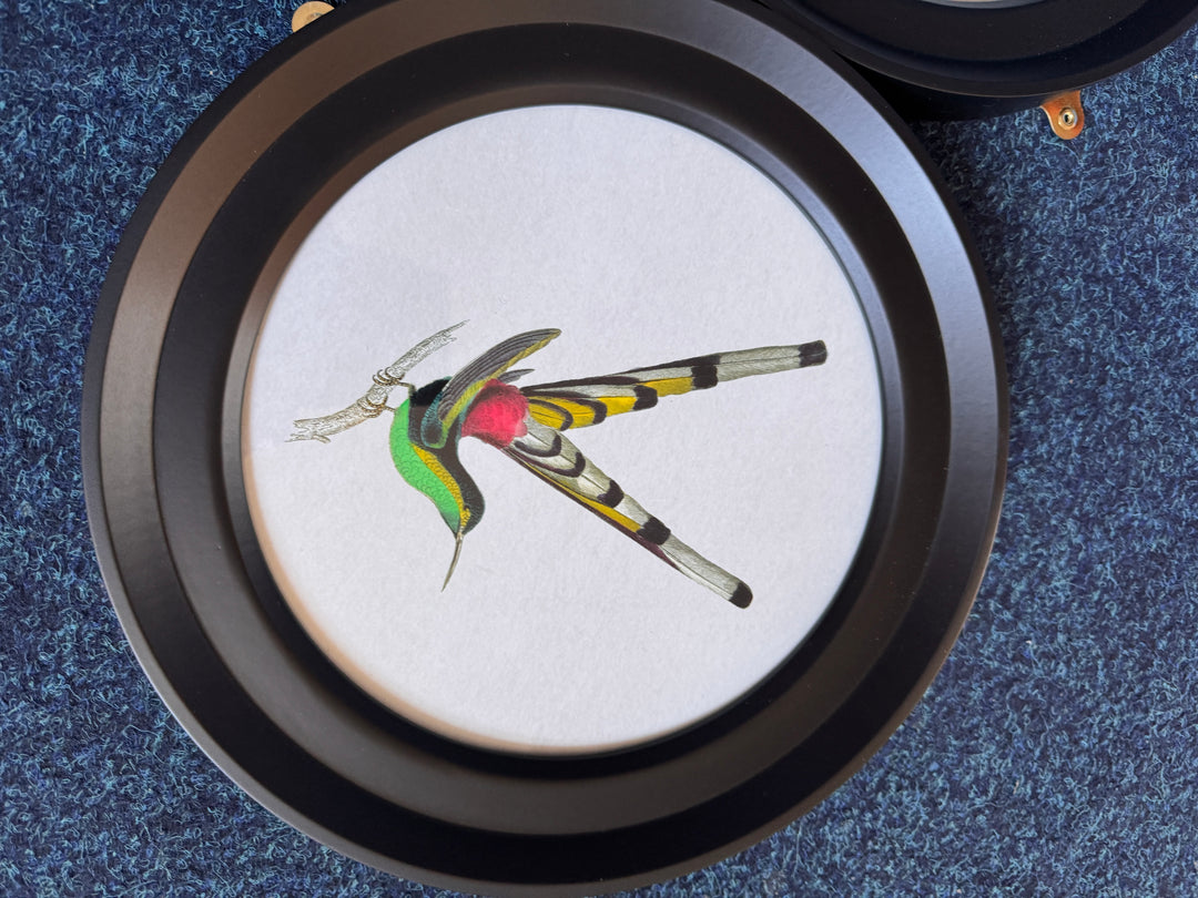 Hummingbirds In Round Frame L (Cancelled Order) - TheArtistsQuarter