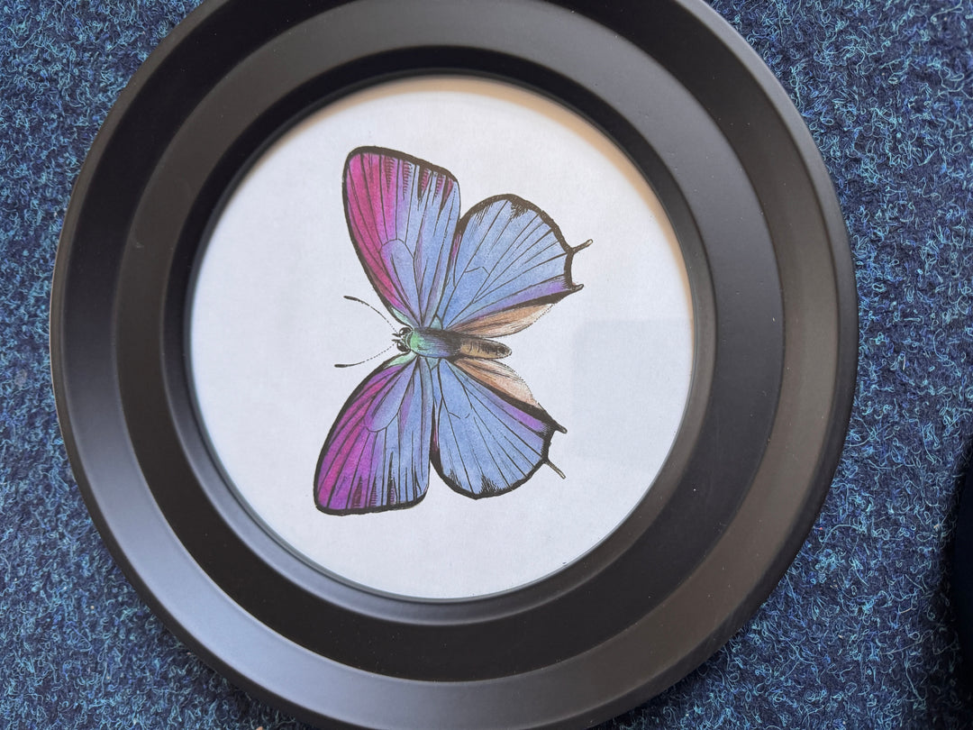 Butterflies In Round Frame CC (Cancelled Order) - TheArtistsQuarter