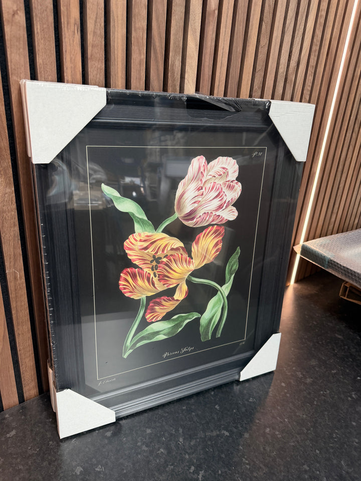 Tulip (Trial)