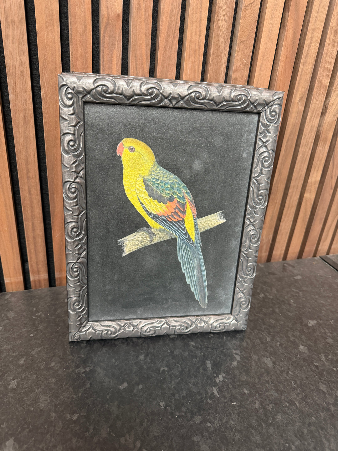PARROT Trial