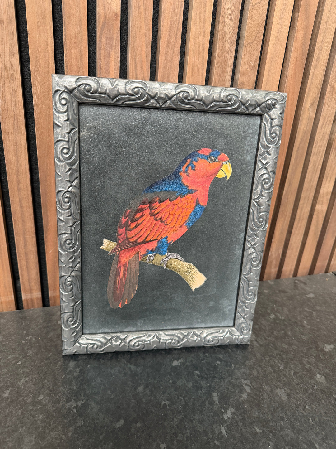 PARROT Trial - TheArtistsQuarter