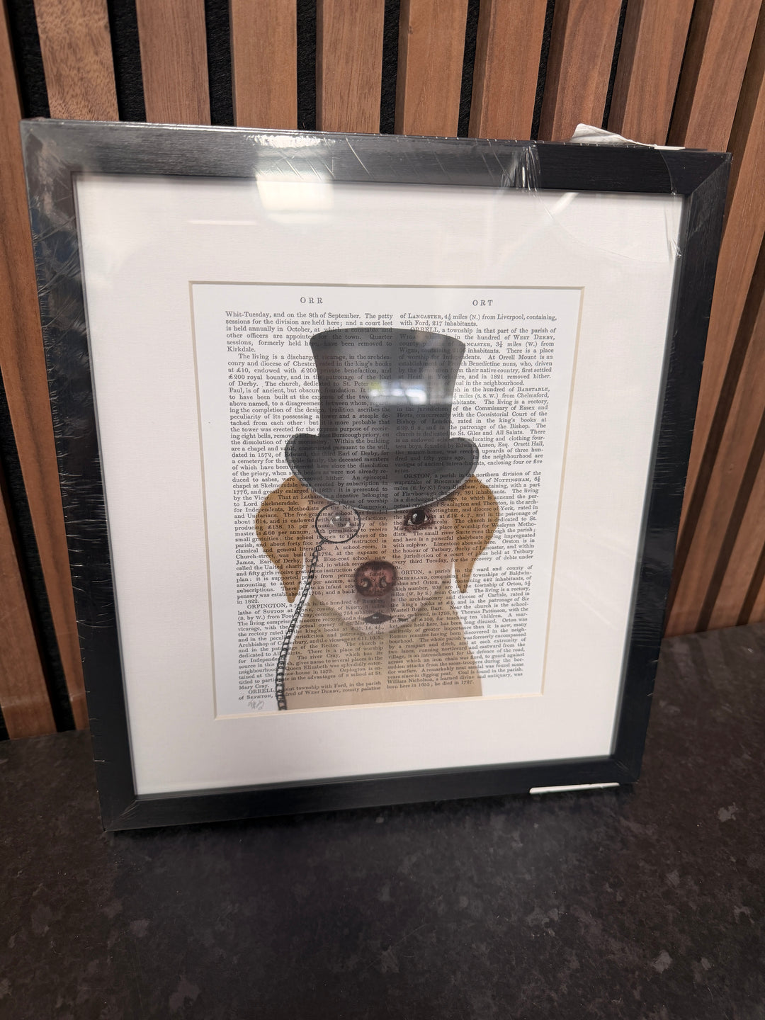 Dogs Trial - TheArtistsQuarter