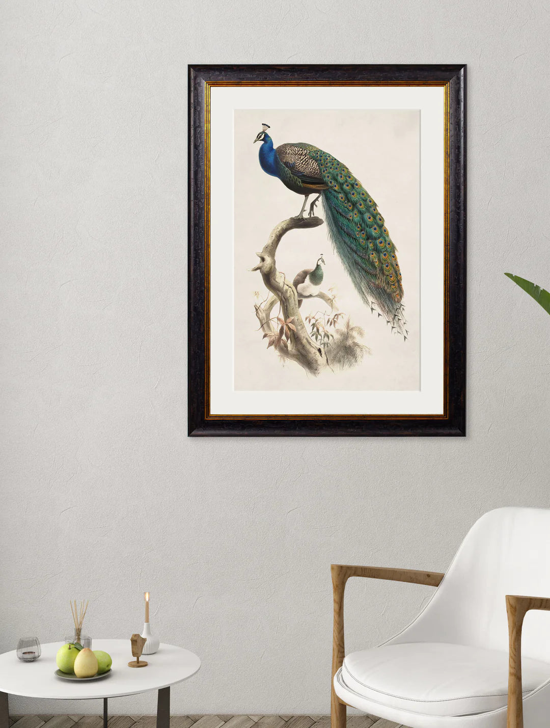 c.1800's Indian Blue Peacock – The Artists Quarter