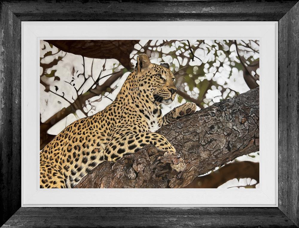 King of the Canopy by Clare Parkes (Original) - TheArtistsQuarter