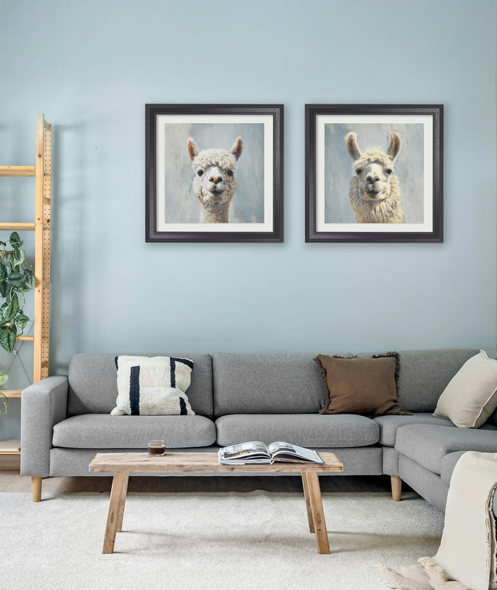 The Goofy Alpaca - Black Hurstwood Square Frame