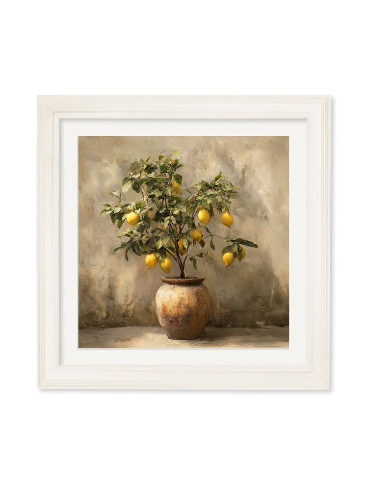 Mediterranean Lemon Tree - Cream Hurstwood Square Frame