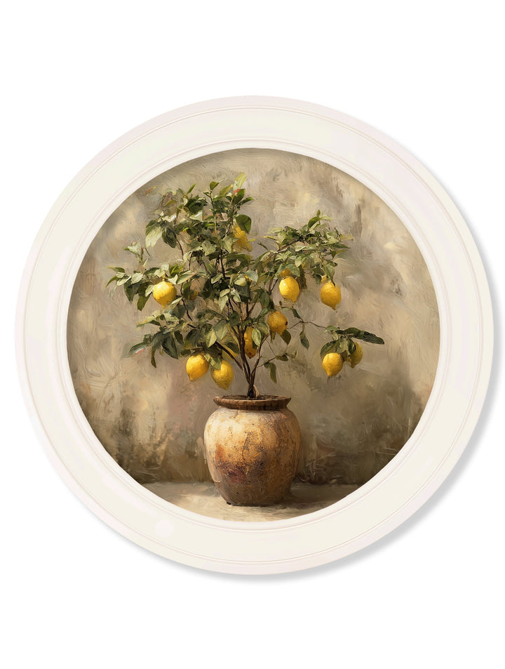 Mediterranean Lemon Tree - Oxford Strong White Round Frame