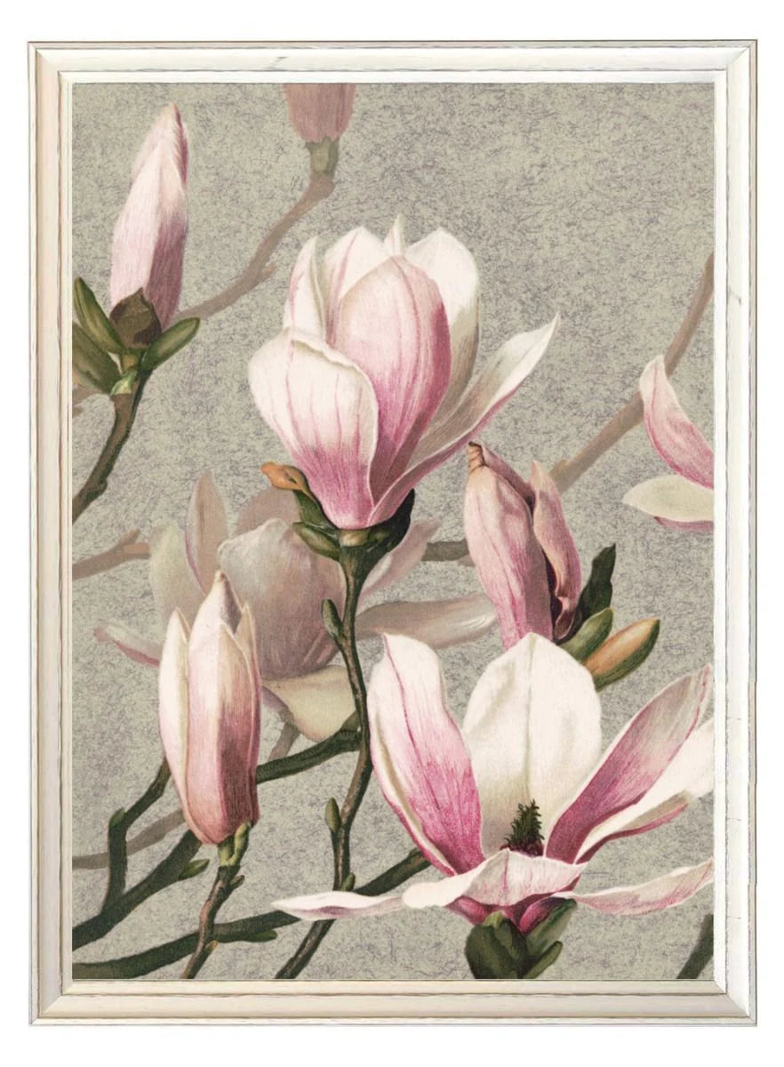 Magnolia - L. Prang & Co Framed Print - TheArtistsQuarter
