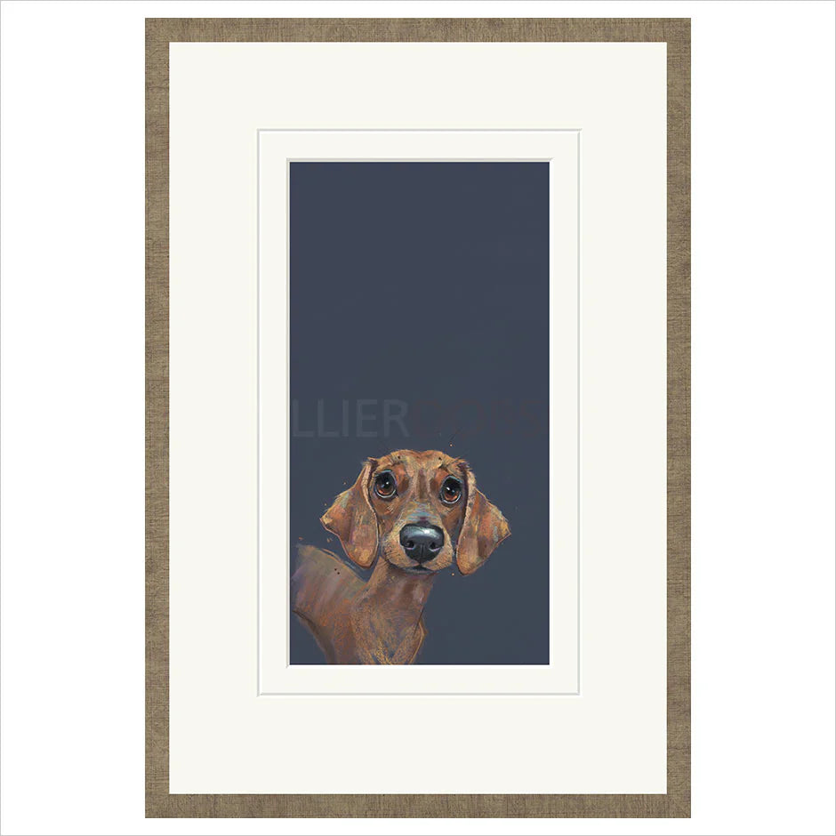 Sausage By Nicky Litchfield *NEW* - TheArtistsQuarter