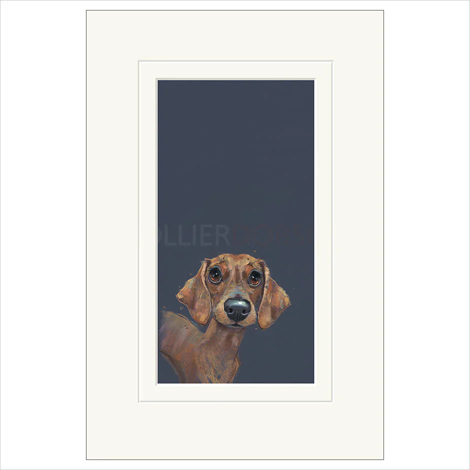 Sausage By Nicky Litchfield *NEW* - TheArtistsQuarter