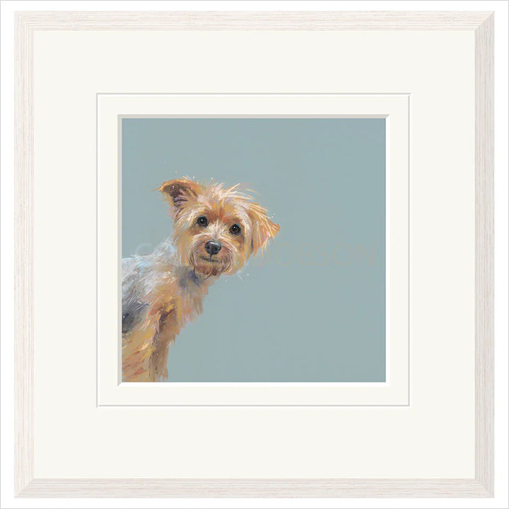 Yorkie By Nicky Litchfield - TheArtistsQuarter