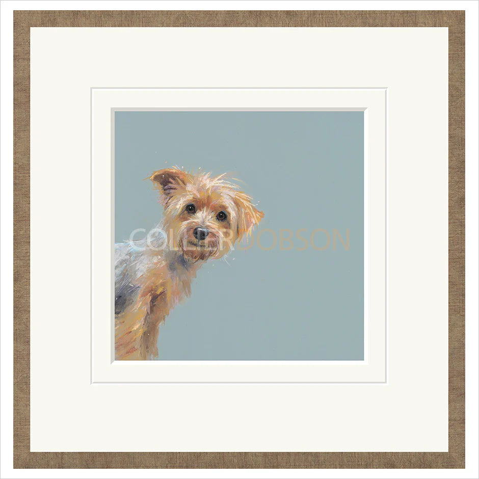 Yorkie By Nicky Litchfield - TheArtistsQuarter