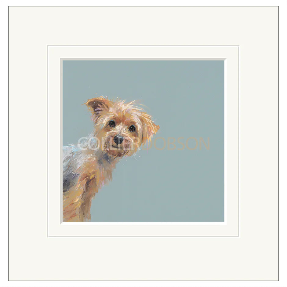 Yorkie By Nicky Litchfield - TheArtistsQuarter