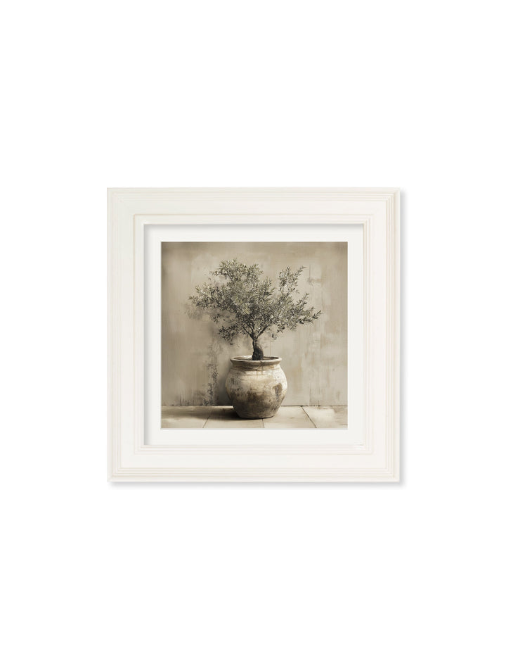 The Olive Tree - Cream Hurstwood Square Frame