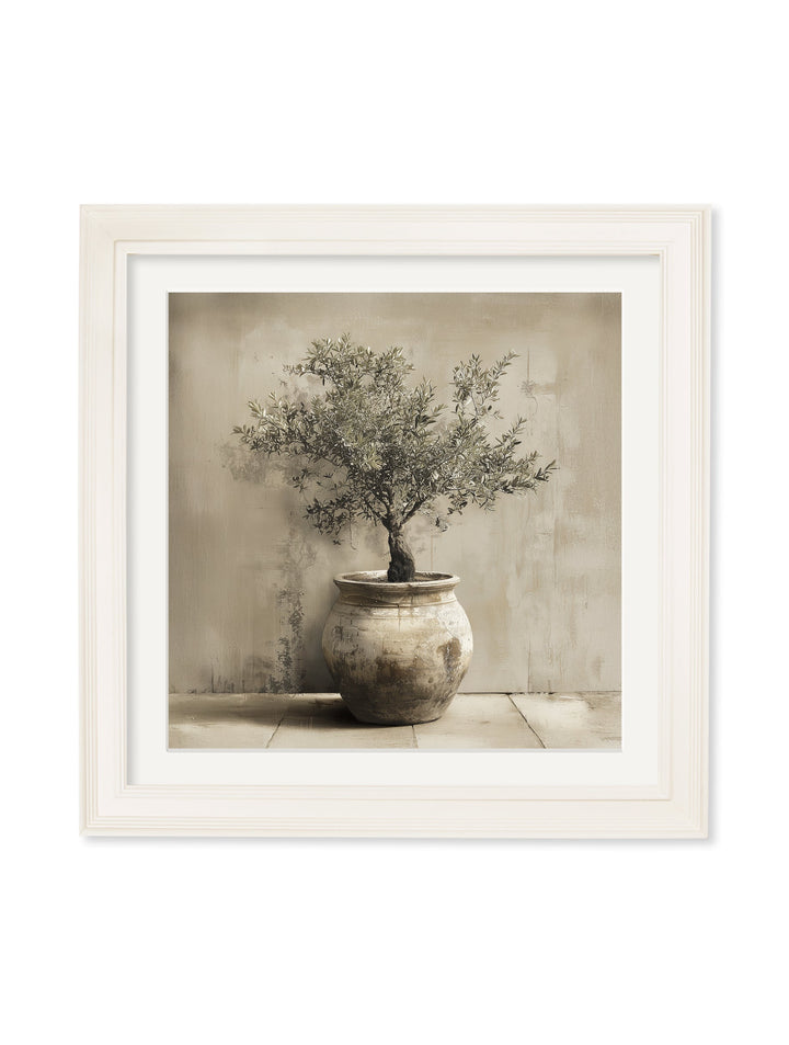 The Olive Tree - Cream Hurstwood Square Frame
