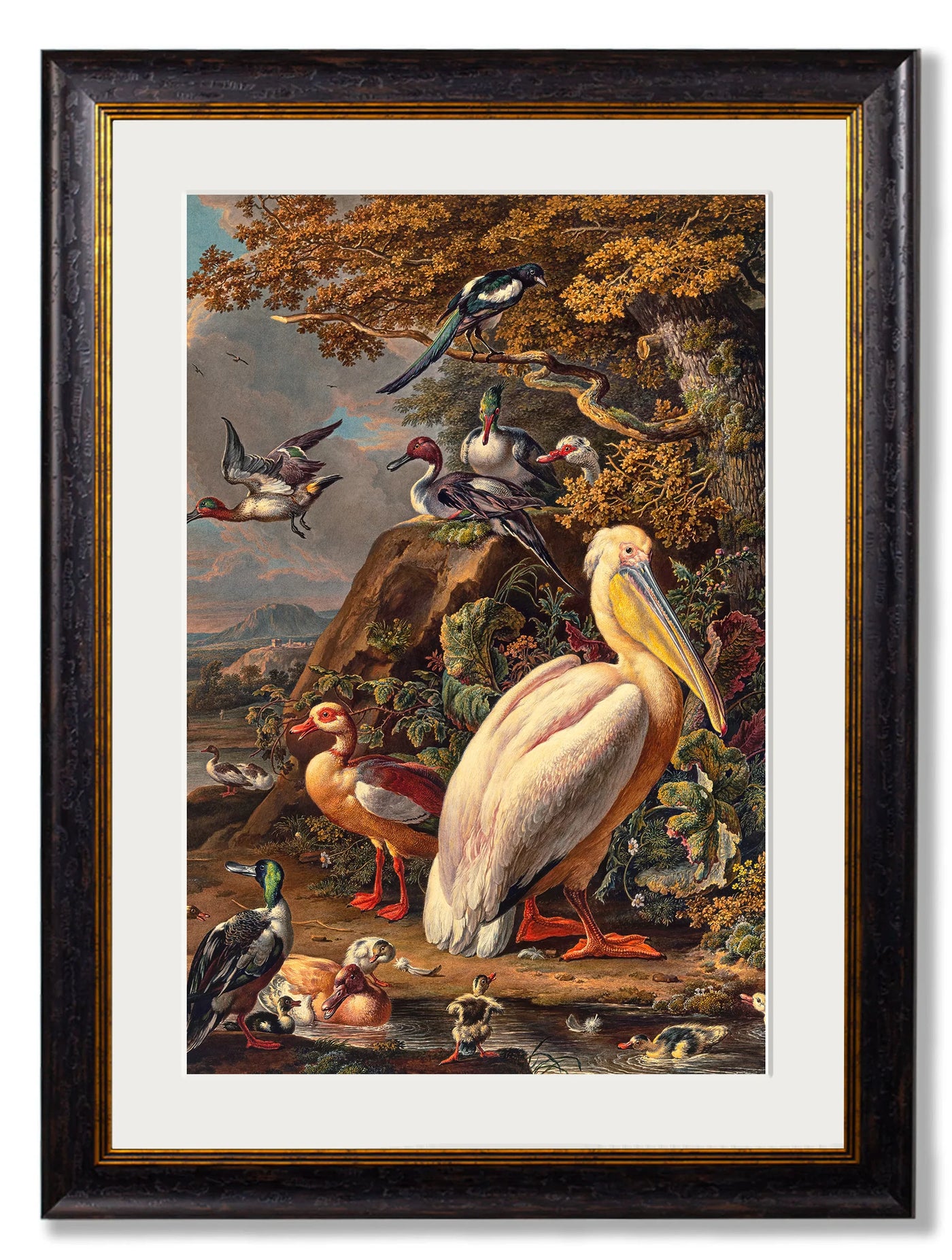 c.1683 Pelican Painting - TheArtistsQuarter