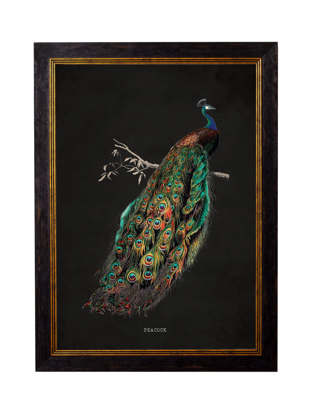 c.1847 Peacocks Dark - TheArtistsQuarter