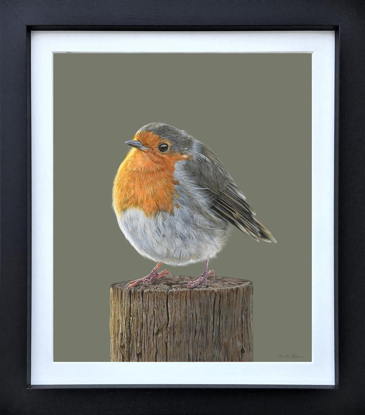 Martin Robson - Rosie