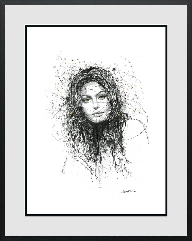 Sophia Loren by Scott Tetlow - TheArtistsQuarter