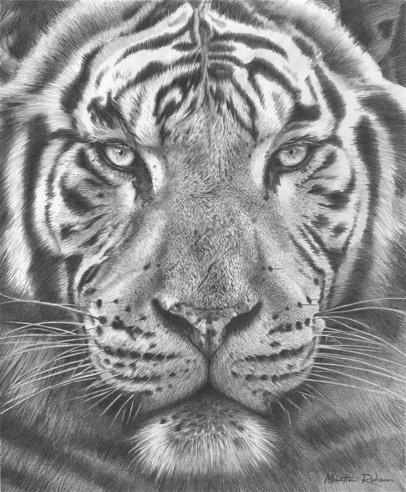 Martin Robson - The Silent Warrior - Study