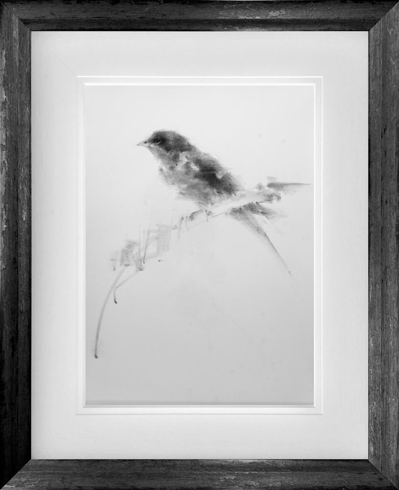 The Thoughtful Perch by Tim Wang (Original) - TheArtistsQuarter