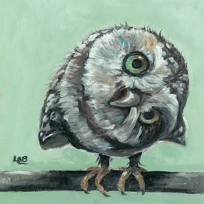 Little Owl By Louise Brown - TheArtistsQuarter