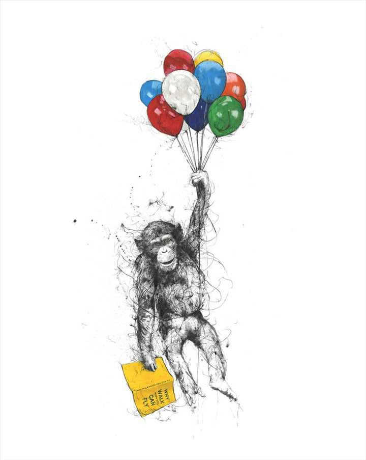 Why Walk When You Can Fly by Scott Tetlow - TheArtistsQuarter
